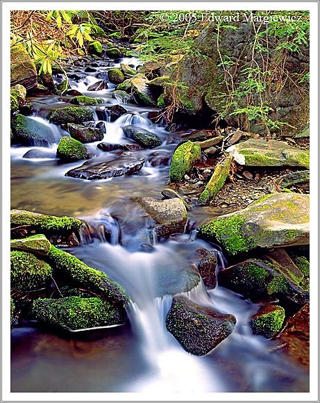 450376   A beautiful stream along the Roaring Fork motor trail, SMNP 